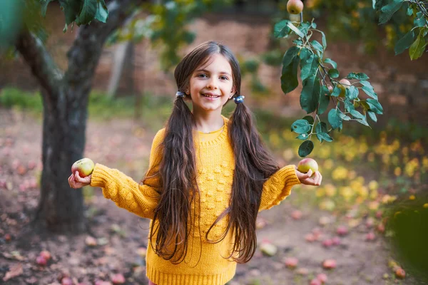 Menina Agricultor Pomar Maçã Pegar Frutas Maduras Orgânicas Árvore Maçã — Fotografia de Stock