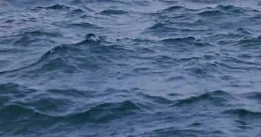 Sabah sisli deniz dalgalı suyu. Doku olarak okyanus dalgaları doğal arkaplan