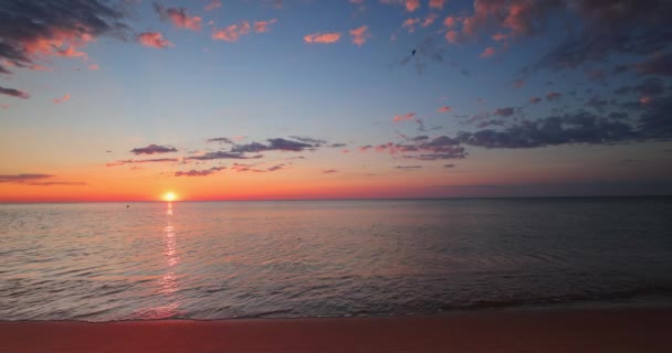 Золотий Океан Пляж Схід Сонця Бризкаючі Хвилі Морському Піску Відео — стокове відео