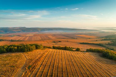 Kırsal kesimdeki tarım ve üzüm bağları tepelere, ormana ve tarlalara doğru güzel bir hava manzarası..