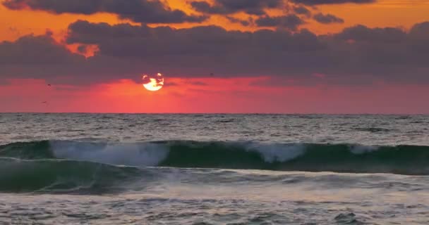 Belo Nascer Sol Sobre Ondas Marinhas Rolantes Pássaros Voadores Sobre — Vídeo de Stock