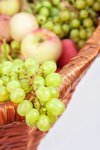 Äpfel und Trauben — Stockfoto