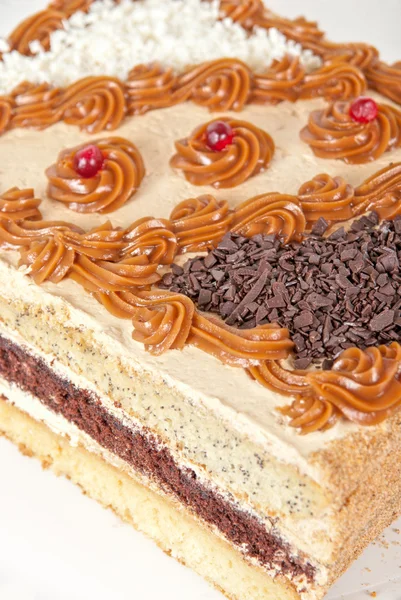 Tasty nuts cake — Stock Photo, Image
