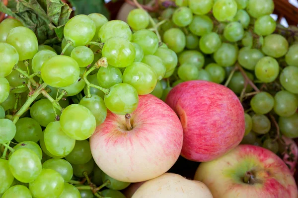 Maçãs e uvas — Fotografia de Stock