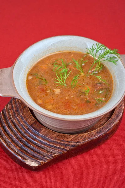 Sopa de repolho — Fotografia de Stock