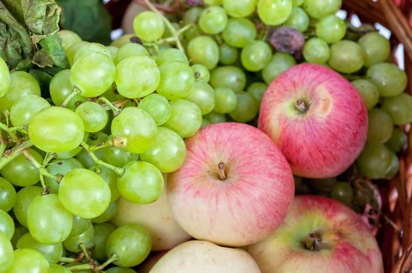 Äpfel und Trauben — Stockfoto