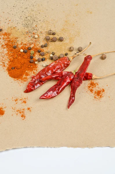 Peppers spices — Stock Photo, Image