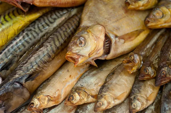 Loja de peixe — Fotografia de Stock