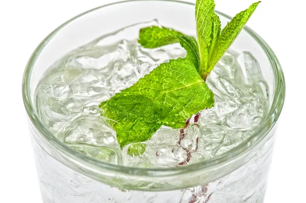 Verse mojito — Stockfoto