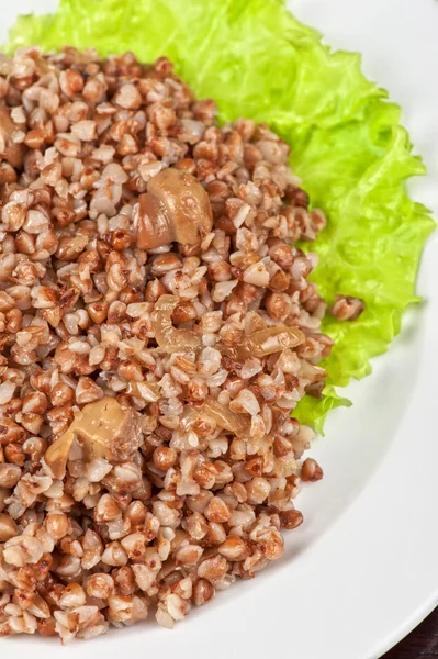 Buckwheat — Stock Photo, Image