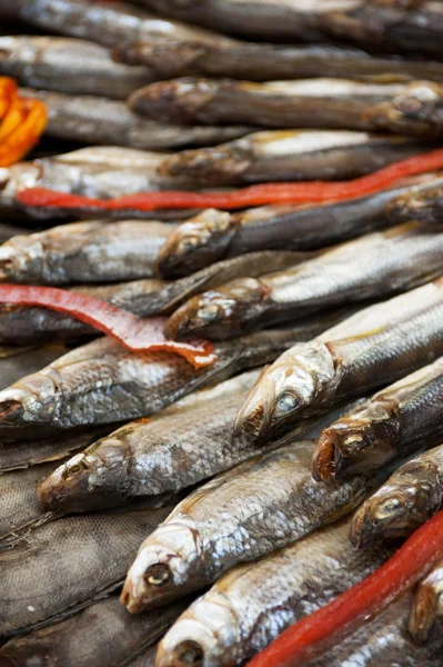 Loja de peixe — Fotografia de Stock