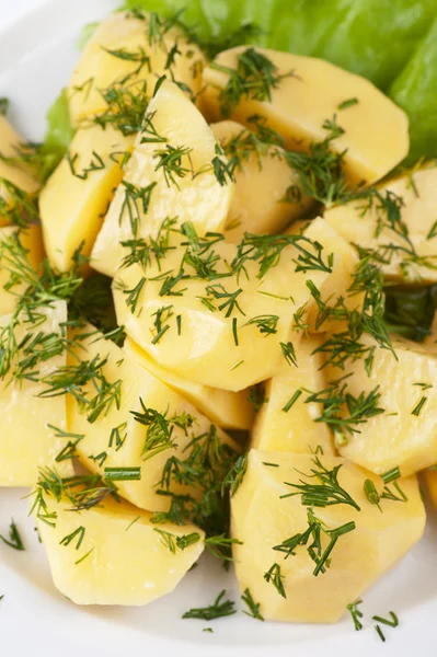 Potatoes — Stock Photo, Image