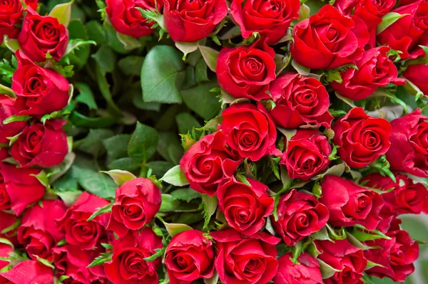 Buquê de rosas — Fotografia de Stock