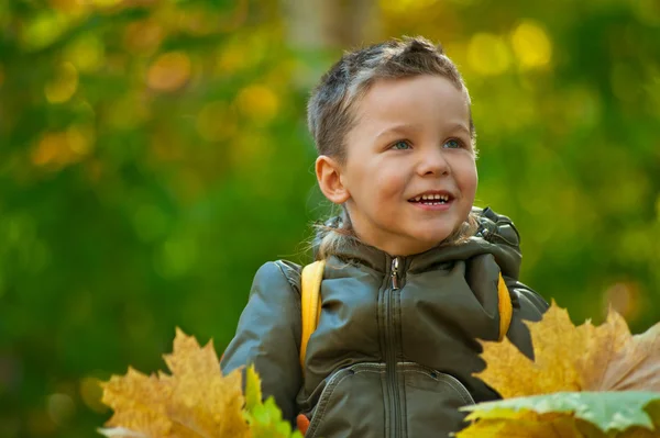 Autumn baby boy — Stock Photo, Image