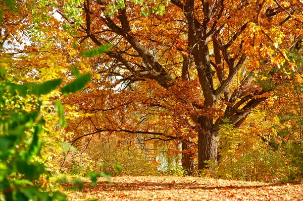 Herbstliche Landschaft — Stockfoto