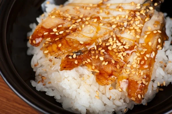 Eel with rice — Stock Photo, Image