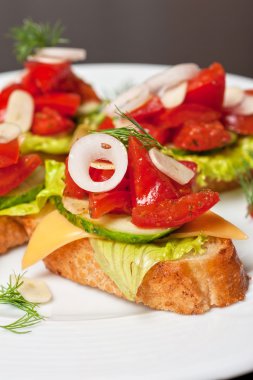 ile sebze kızarmış ekmek