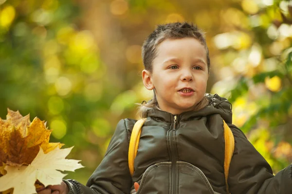 Autunno bambino ragazzo — Foto Stock