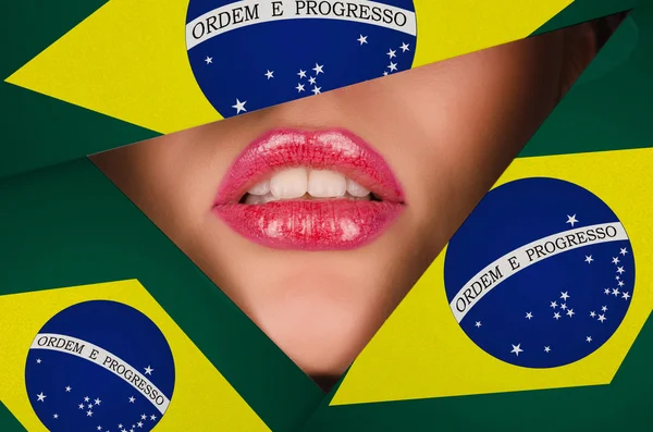 巴西 — 图库照片