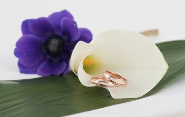 Evlilik yüzükleri.