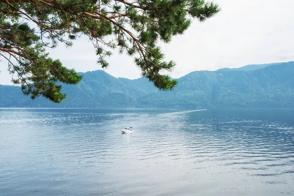 Lago Teletskoye nelle montagne di Altai — Foto Stock