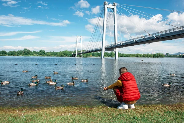 Boy feeding ducks — Stock Photo, Image