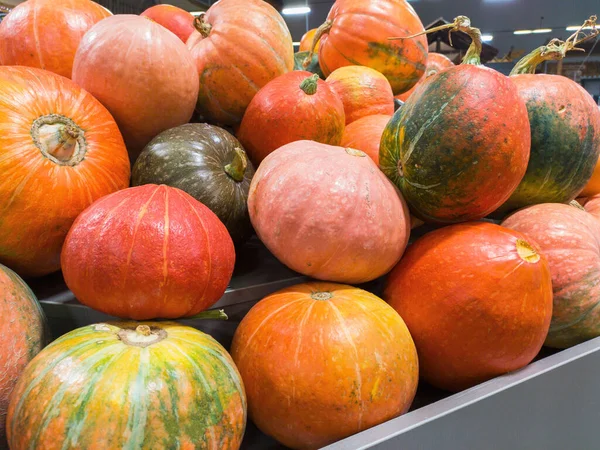 Orangefarbene Kürbisse auf Bauernmarkt — Stockfoto