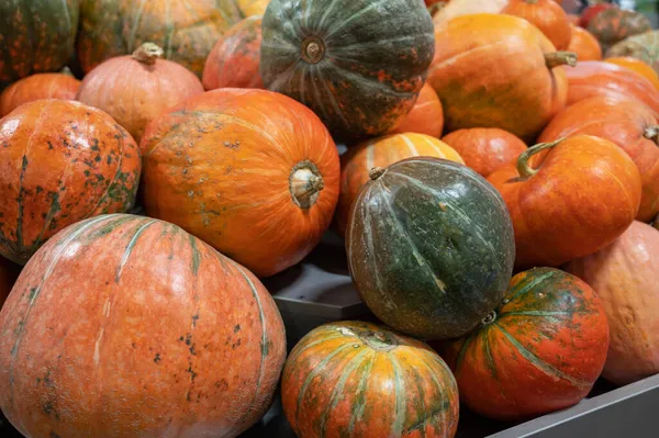 Zucche arancioni al mercato agricolo — Foto Stock