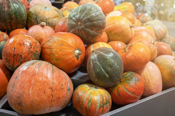 Orangefarbene Kürbisse auf Bauernmarkt — Stockfoto