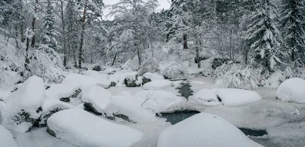 Belleza invierno paisaje —  Fotos de Stock