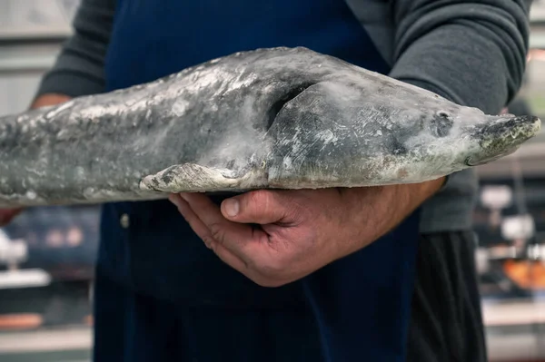 Trabalhador do sexo masculino do mercado de peixe ou peixeiro — Fotografia de Stock