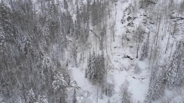 Letecký 4k drone video shora pohled na zimní sibiřský les v horách — Stock video