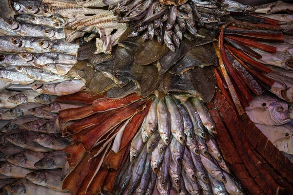 Çeşitli tütsülenmiş balık ürünleri — Stok fotoğraf
