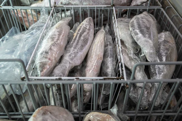 Frutos do mar congelados no frigorífico do mercado de peixe. — Fotografia de Stock