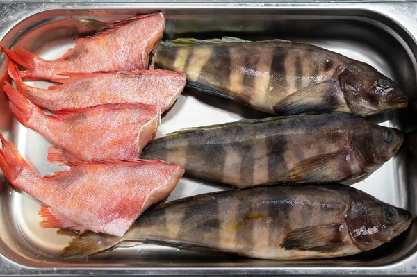 Färsk färsk grönsaksfisk och havsabborre — Stockfoto