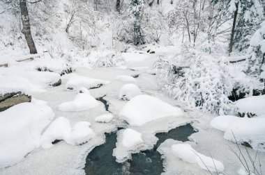 Güzellik kış manzarası