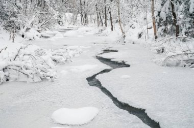 Güzellik kış manzarası