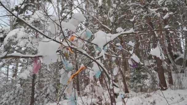 Хирургические маски на деревьях в зимнем лесу — стоковое видео