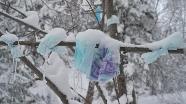 Masques chirurgicaux sur les arbres dans la forêt d'hiver — Video