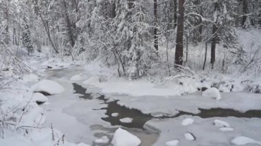 Güzellik kış manzarası