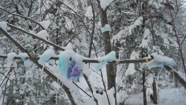 Chirurgische maskers op bomen in het winterbos — Stockvideo
