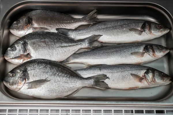 Peixe dorado e sibas crus frescos — Fotografia de Stock