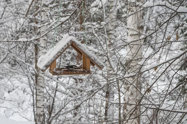 Alimentador de pássaros de madeira coberto de neve — Fotografia de Stock