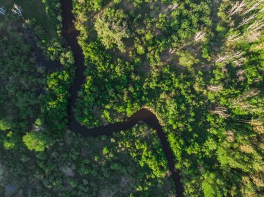Vahşi nehir hava aracı görüntüsü
