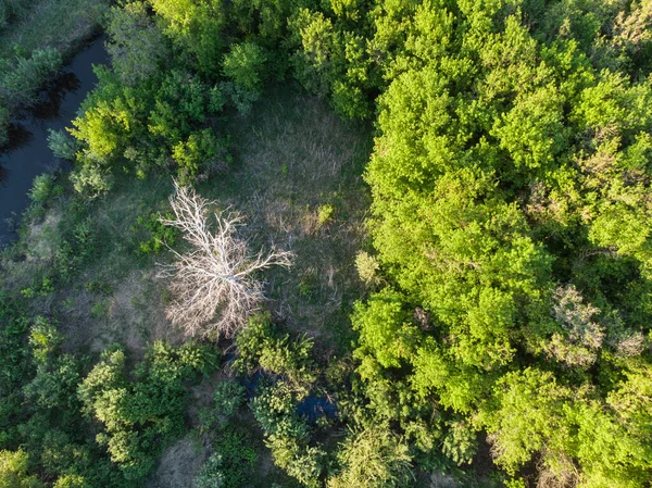 Wilde rivier drone schot in de lucht Stockfoto