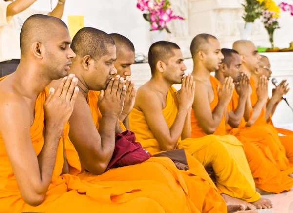 Monks Chanting Royalty Free Stock Images
