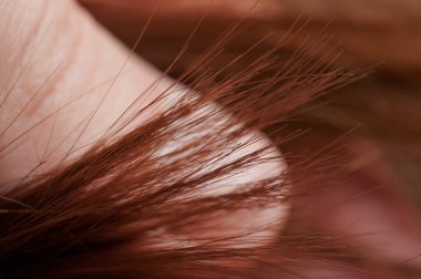 Düz kahverengi saçlar makroyu sona erdirir. Arka grup görüntüsünü kapat.