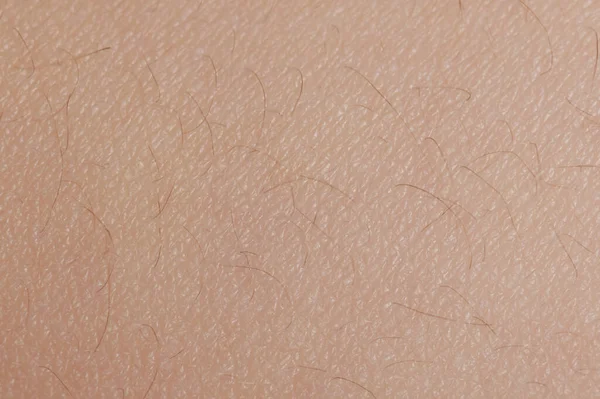 Malé Vlasy Povrchu Lidské Kůže Makro Zblízka Pohled — Stock fotografie