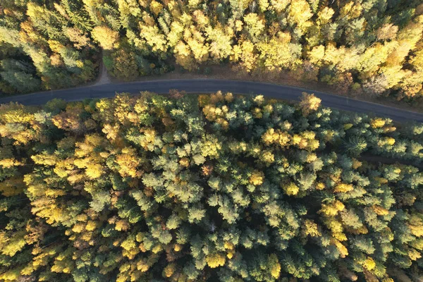 Άδεια Άσφαλτος Δρόμος Στο Πάρκο Πάνω Από Την Κορυφή Drone — Φωτογραφία Αρχείου