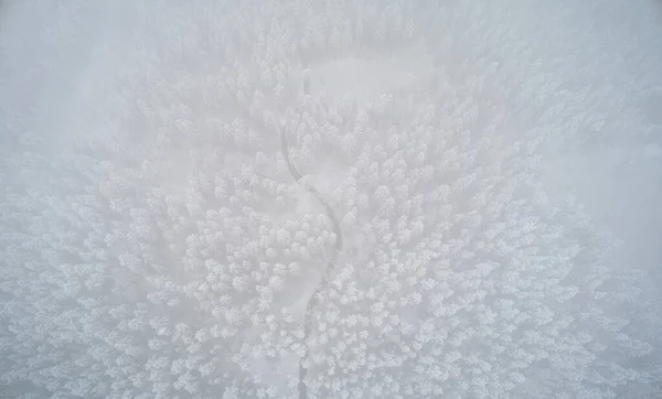Neve Pesada Fundo Natural Vista Drone Aéreo Floresta Inverno Nevoeiro — Fotografia de Stock